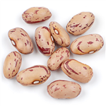 Cranberry Beans