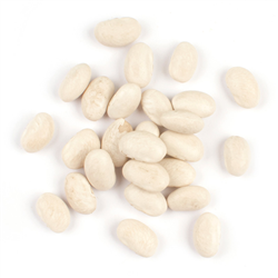 Great Northern Beans