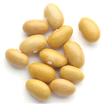Maya Coba/Peruanos Beans