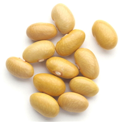 Maya Coba/Peruanos Beans