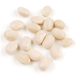 Navy Beans