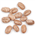 Pinto Beans