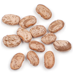 Pinto Beans