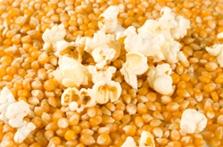 Yellow Popcorn