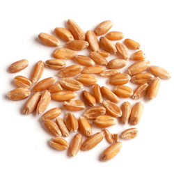 Spelt