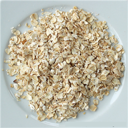 Gluten-Free Quick Oats