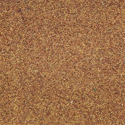 Alfalfa Seed ORGANIC