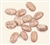 Pinto Beans Organic