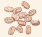 Pinto Beans Organic
