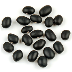 Black Beans