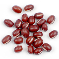 Adzuki Beans