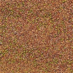 Sandwich Blend Sprouting Seed ORGANIC - 4oz