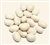 Great Northern Beans ORGANIC