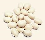 Great Northern Beans ORGANIC