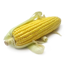 Corn, Super Sweet: FREEZE-DRIED BULK