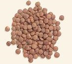 Lentils Brown ORGANIC