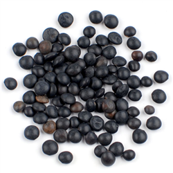 Black Beluga Lentils
