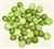 Peas, Green Split ORGANIC