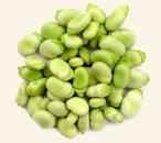 Lima Beans, Large ORGANIC