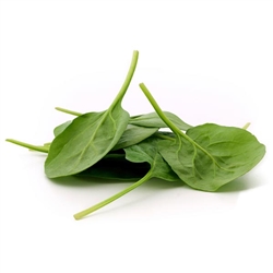 Spinach 1" Leaf: FREEZE-DRIED BULK