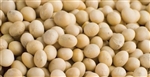 Soy Beans ORGANIC