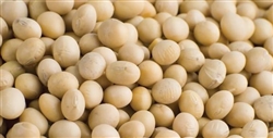 Soy Beans ORGANIC