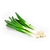 Onion, Green 1/8": FREEZE-DRIED BULK