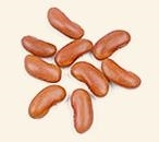 Kidney Beans Light Red ORGANIC