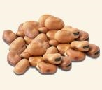 Fava Beans ORGANIC