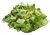 Broccoli Buds & Stems FREEZE-DRIED BULK