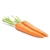 Carrot Puffed 3/8" Diced: AIR-DRIED BULK