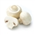 Mushroom Diced: FREEZE-DRIED BULK