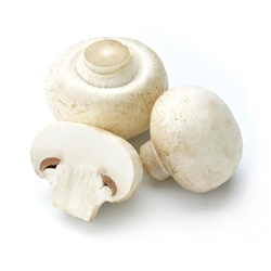 Mushroom Diced: FREEZE-DRIED BULK