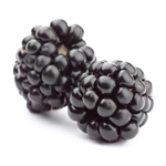 Blackberry Whole FREEZE-DRIED BULK