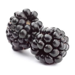 Blackberry Whole FREEZE-DRIED BULK