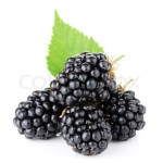 Blackberry Whole: FREEZE-DRIED BULK - ORGANIC