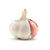 Garlic Diced: FREEZE-DRIED BULK