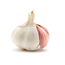 Garlic Diced: FREEZE-DRIED BULK