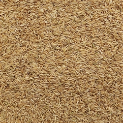 Rice Basmati Brown ORGANIC