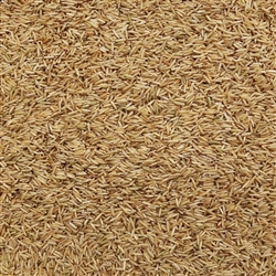 Rice Basmati Brown ORGANIC