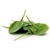 Spinach 1/4": FREEZE-DRIED BULK