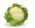 Cauliflower Pearls: FREEZE-DRIED BULK