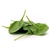 Spinach Powder: FREEZE-DRIED BULK - ORGANIC