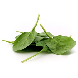 Spinach Powder: FREEZE-DRIED BULK - ORGANIC