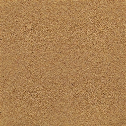 Amaranth ORGANIC