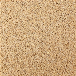 Barley Pearled ORGANIC