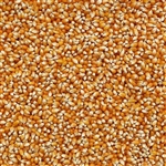 Popcorn Yellow ORGANIC