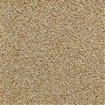 Quinoa White Whole ORGANIC