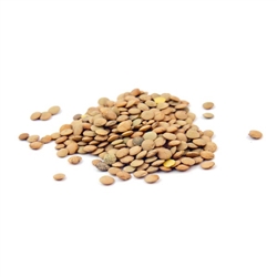 Lentils, Brown Cooked AIR DRIED BULK