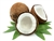 Coconut Milk Powder - BULK 5lb